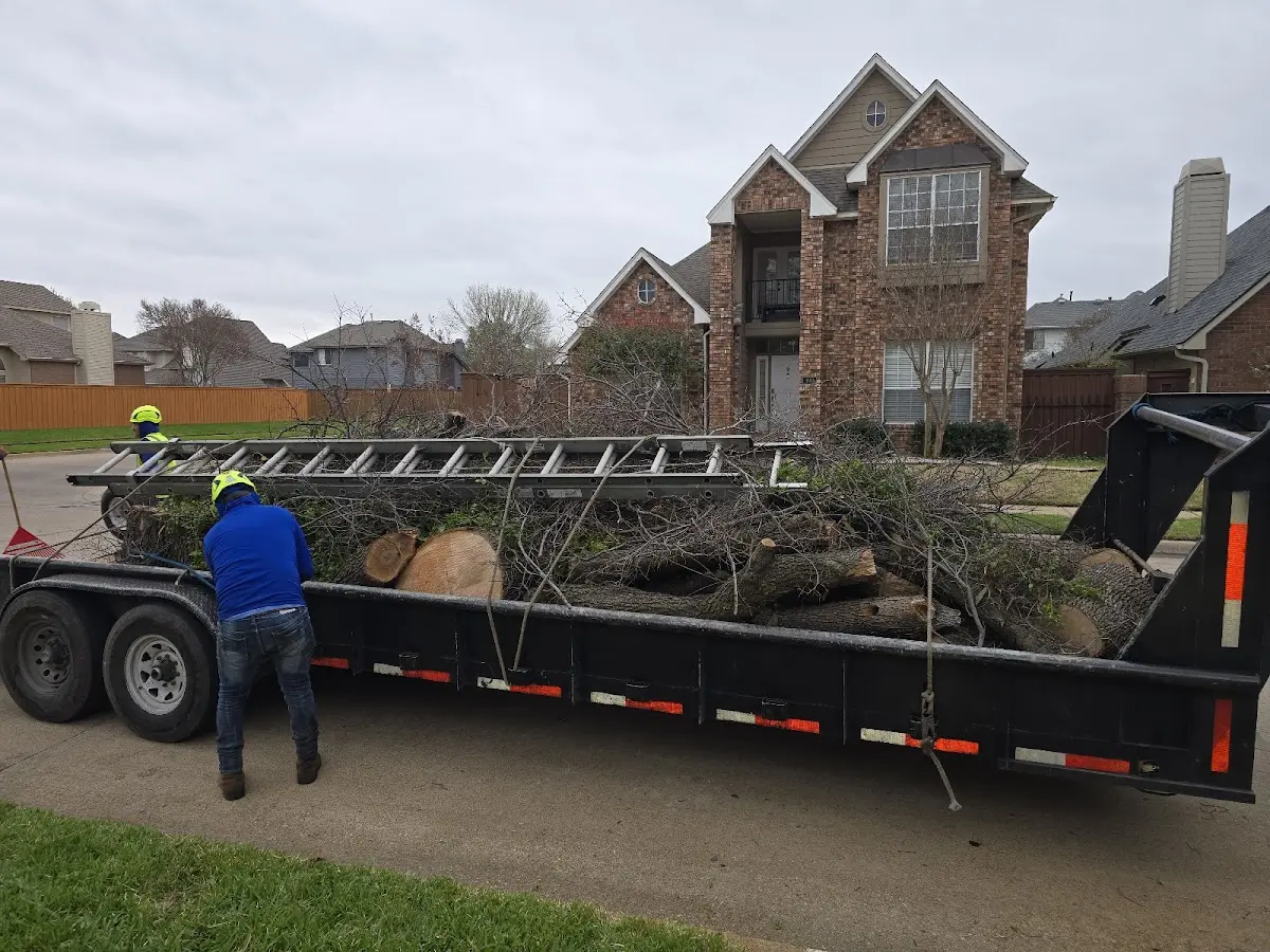 Expert Tree Removal with proper safety equipment in Pleasant Unity